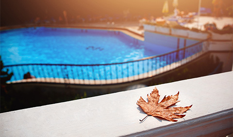 Pool in the fall